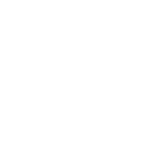 Logo Certificazione qalità